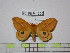  ( - BC-FMP-1566)  @13 [ ] Copyright (2010) Unspecified Research Collection of Frank Meister