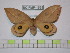  ( - BC-FMP-1568)  @13 [ ] Copyright (2010) Unspecified Research Collection of Frank Meister