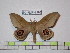  ( - BC-FMP-1583)  @14 [ ] Copyright (2010) Unspecified Research Collection of Frank Meister