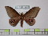  ( - BC-FMP-1587)  @13 [ ] Copyright (2010) Unspecified Research Collection of Frank Meister