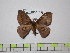  ( - BC-FMP-1617)  @13 [ ] Copyright (2010) Unspecified Research Collection of Frank Meister