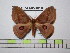  ( - BC-FMP-1618)  @13 [ ] Copyright (2010) Unspecified Research Collection of Frank Meister
