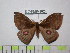  ( - BC-FMP-1624)  @13 [ ] Copyright (2010) Unspecified Research Collection of Frank Meister