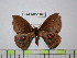  ( - BC-FMP-1625)  @13 [ ] Copyright (2010) Unspecified Research Collection of Frank Meister