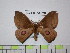 ( - BC-FMP-1626)  @13 [ ] Copyright (2010) Unspecified Research Collection of Frank Meister