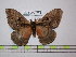  ( - BC-FMP-1670)  @13 [ ] Copyright (2010) Unspecified Research Collection of Frank Meister