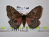  ( - BC-FMP-1674)  @15 [ ] Copyright (2010) Unspecified Research Collection of Frank Meister