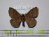  ( - BC-FMP-1696)  @13 [ ] Copyright (2010) Unspecified Research Collection of Frank Meister