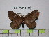  ( - BC-FMP-1698)  @13 [ ] Copyright (2010) Unspecified Research Collection of Frank Meister