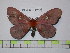  ( - BC-FMP-1706)  @13 [ ] Copyright (2010) Unspecified Research Collection of Frank Meister