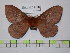  ( - BC-FMP-1708)  @13 [ ] Copyright (2010) Unspecified Research Collection of Frank Meister