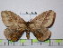  ( - BC-FMP-1735)  @13 [ ] Copyright (2010) Unspecified Research Collection of Frank Meister