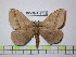  ( - BC-FMP-1736)  @13 [ ] Copyright (2010) Unspecified Research Collection of Frank Meister