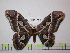 ( - BC-FMP-1751)  @14 [ ] Copyright (2010) Unspecified Research Collection of Frank Meister