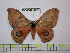  ( - BC-FMP-1802)  @13 [ ] Copyright (2010) Unspecified Research Collection of Frank Meister