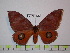  ( - BC-FMP-1810)  @13 [ ] Copyright (2010) Unspecified Research Collection of Frank Meister