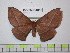  ( - BC-FMP-1853)  @13 [ ] Copyright (2010) Unspecified Research Collection of Frank Meister