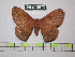  ( - BC-FMP-1854)  @13 [ ] Copyright (2010) Unspecified Research Collection of Frank Meister