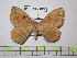  ( - BC-FMP-1855)  @13 [ ] Copyright (2010) Unspecified Research Collection of Frank Meister