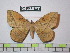  ( - BC-FMP-1865)  @13 [ ] Copyright (2010) Unspecified Research Collection of Frank Meister
