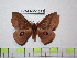  ( - BC-FMP-1873)  @13 [ ] Copyright (2010) Unspecified Research Collection of Frank Meister