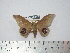  ( - BC-FMP-2012)  @13 [ ] Copyright (2010) Unspecified Research Collection of Frank Meister