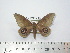 ( - BC-FMP-2013)  @13 [ ] Copyright (2010) Unspecified Research Collection of Frank Meister