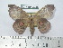  ( - BC-FMP-2026)  @13 [ ] Copyright (2010) Unspecified Research Collection of Frank Meister