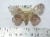 ( - BC-FMP-2027)  @13 [ ] Copyright (2010) Unspecified Research Collection of Frank Meister