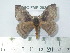  ( - BC-FMP-2036)  @14 [ ] Copyright (2010) Unspecified Research Collection of Frank Meister