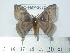  ( - BC-FMP-2037)  @14 [ ] Copyright (2010) Unspecified Research Collection of Frank Meister