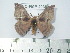  ( - BC-FMP-2038)  @14 [ ] Copyright (2010) Unspecified Research Collection of Frank Meister