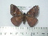  ( - BC-FMP-2089)  @13 [ ] Copyright (2010) Unspecified Research Collection of Frank Meister