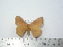  ( - BC-FMP-2095)  @12 [ ] Copyright (2010) Unspecified Research Collection of Frank Meister