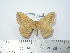  ( - BC-FMP-2096)  @12 [ ] Copyright (2010) Unspecified Research Collection of Frank Meister