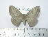  ( - BC-FMP-2098)  @13 [ ] Copyright (2010) Unspecified Research Collection of Frank Meister