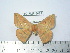  ( - BC-FMP-2099)  @13 [ ] Copyright (2010) Unspecified Research Collection of Frank Meister