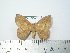  ( - BC-FMP-2105)  @13 [ ] Copyright (2010) Unspecified Research Collection of Frank Meister