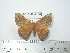  ( - BC-FMP-2106)  @13 [ ] Copyright (2010) Unspecified Research Collection of Frank Meister