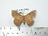  ( - BC-FMP-2107)  @13 [ ] Copyright (2010) Unspecified Research Collection of Frank Meister
