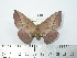  ( - BC-FMP-2108)  @13 [ ] Copyright (2010) Unspecified Research Collection of Frank Meister