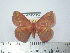  ( - BC-FMP-2109)  @14 [ ] Copyright (2010) Unspecified Research Collection of Frank Meister