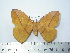  ( - BC-FMP-2115)  @14 [ ] Copyright (2010) Unspecified Research Collection of Frank Meister