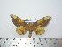  ( - BC-FMP-2133)  @14 [ ] Copyright (2010) Unspecified Research Collection of Frank Meister