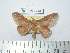  ( - BC-FMP-2141)  @11 [ ] Copyright (2010) Unspecified Research Collection of Frank Meister