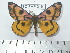  ( - BC-FMP-2161)  @15 [ ] Copyright (2010) Unspecified Research Collection of Frank Meister