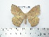  ( - BC-FMP-2166)  @13 [ ] Copyright (2010) Unspecified Research Collection of Frank Meister