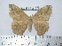  ( - BC-FMP-2167)  @13 [ ] Copyright (2010) Unspecified Research Collection of Frank Meister