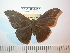  ( - BC-FMP-2497)  @13 [ ] Copyright (2011) Frank Meister Research Collection of Frank Meister
