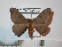  ( - BC-FMP-2535)  @13 [ ] Copyright (2011) Frank Meister Research Collection of Frank Meister